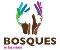 Bosques